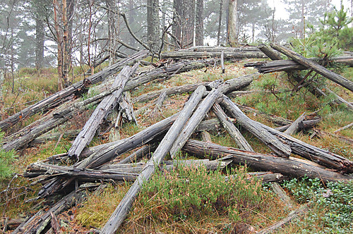 Rester av gammelt trig.punkt på Gravtjennåsen 