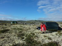 bergtatt_130630_hardangervidda3.jpg