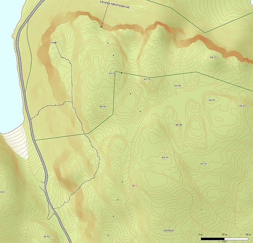 Integnet rute som jeg benyttet opp/ned fra Løvehodet