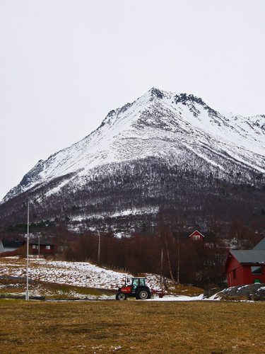 Bakken opp mot Storheia fra Hundeidvika.