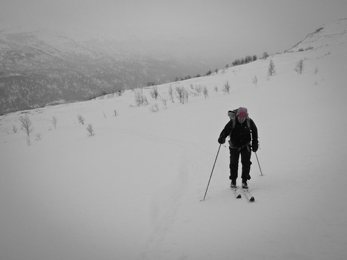 I bakkene opp fra Dividalen.