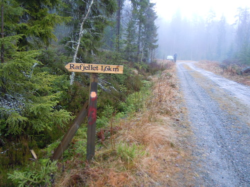 Her starter stien til Rafjellet, parkeringsplassen i bakgrunnen