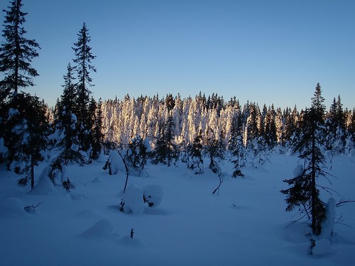 Finnemarka, en ukjent perle?