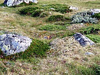 500fjell_2008-08-16_31.jpg