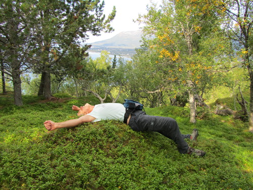 Høyeste punkt på Åserøya