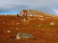 On the way up to Brosmetinden - with lots of company!