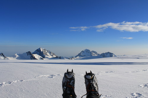 senfterberg_aletschhorn_(34).jpg