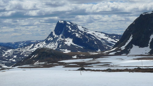 Bitihorn fra nord