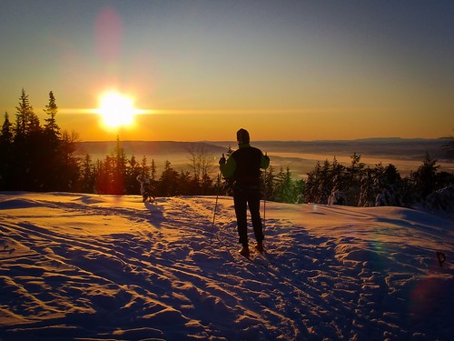 Ringkollen (701) er en av markas beste utsiktsposter, blant annet i denne retningen sørvestover.