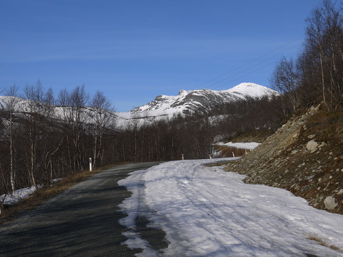 Det våres i Valdres...