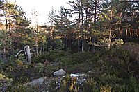 Trig-pkt på Klokkarstuåsen. Høyeste punkt ligger oppå platået her en plass.