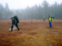 500fjell_pb220142.jpg