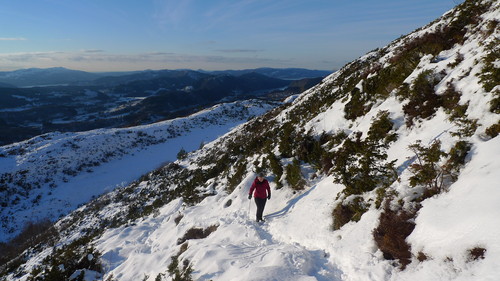 Astrid på vei oppover mot Stangfjellet