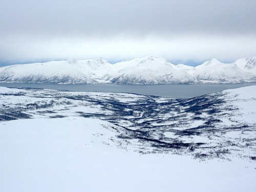 View towards Ringvassøya