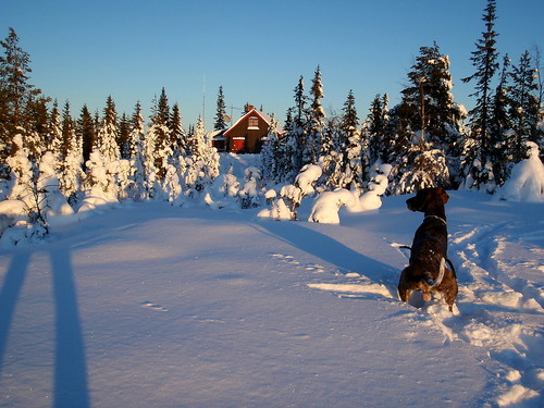 Hytta på toppen av Ringkollen.