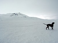 På Nakken med skitrekket i Steindalen og Småeggene bak.