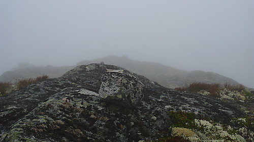 Toppstein med saueknokkel på den østligste toppen av Sauafjellet