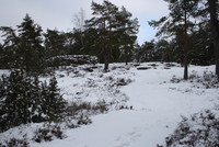 Bronsealder røysa skimtes