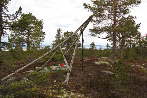 Toppen på Langvassbrenna.