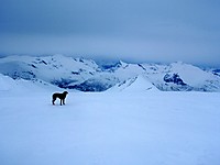 500fjell_2009-04-07_11.jpg