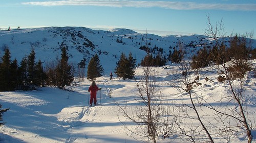 Fra en skitur med småjentene mine på årets korteste dag i 2007. Toppen i sikte!