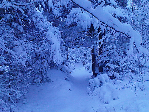 Stien på Knappenfjellet julaften 2010