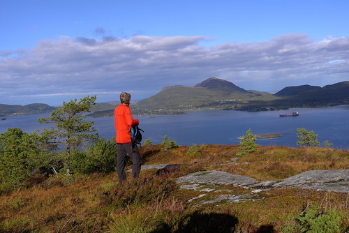 Fra Varden mot Freikollen