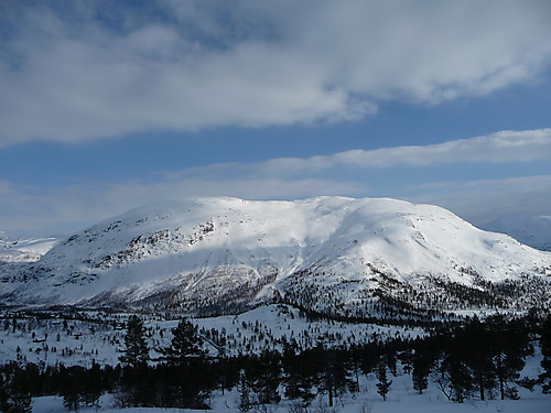 Mjølfjell sett fra nord (Ljosanbotn)