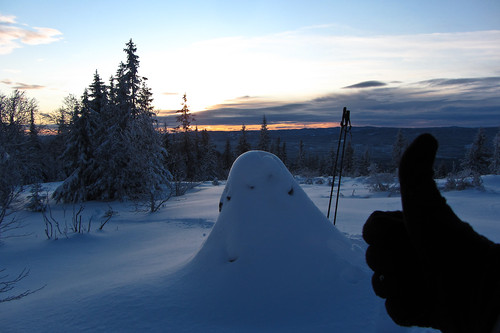 Tommel opp for Paradiskollen:)