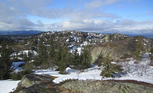 Fra Skåråfjell til Vardefjell er det ikke langt i luftlinje, men jeg visste bedre...