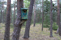 Fuglekassene på Holtekjæråsen