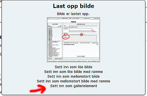 Hvis bildet skal være en del av et galleri, velg alltid "Sett inn som gallerielement" ved endt opplasting.