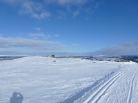 På Sjusjøfjellet