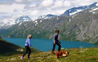 Gjendeshøe mot Besseggen/Bandet