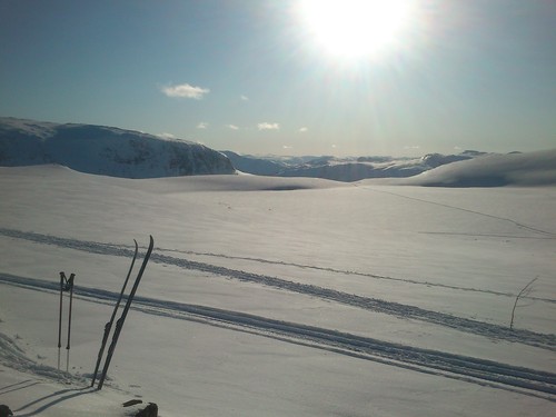 Blikk stille og solen steker. Bedre enn dette blir det ikke.