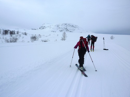 Skiing up the ski-motorway towards Trollvassnova