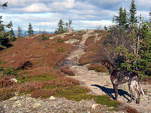 Fjellfølelse på toppen av Skreikampen!