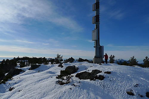 Breisteinsåta