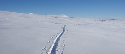 Ser tilbake på dype spor...