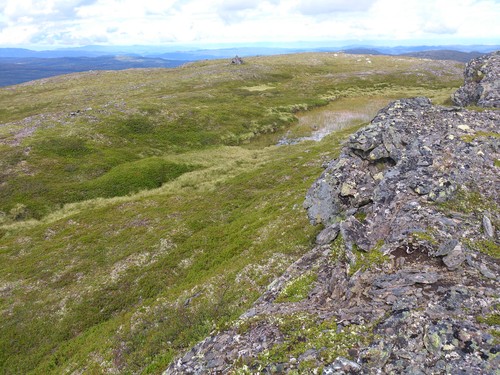 Kommunetoppen i Melhus. Rensfjellet Punkt nordvest for.