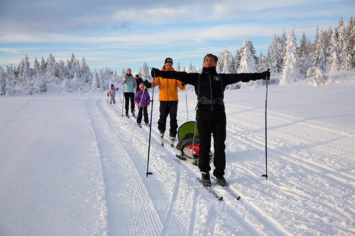 Marek med pulken og alle de andre.