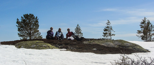 Slapper av i lyngen på Lauvåsen.