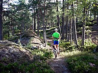 Veldig fine stier på denne øya.