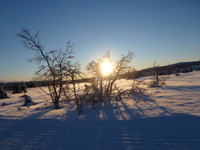 Solnedgang på tilbaketuren