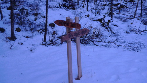 Vi valgte Stongfjellet bratt!