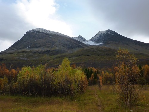 Bentsjordtinden seen from the forest