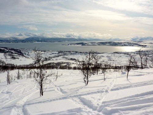 View towards Håkøya