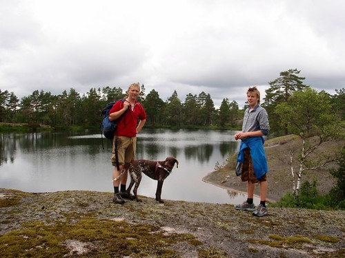 Tjerna på topplatået.