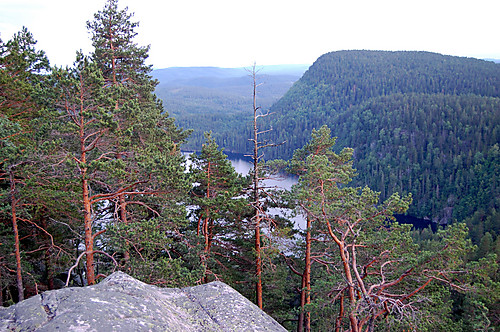 Utsikt fra Aspumfjellet mot Kittilskollen