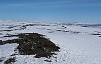 500fjell_p5150563.jpg